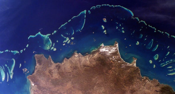 The Great Barrier Reef Is "In for a Rough Ride"
