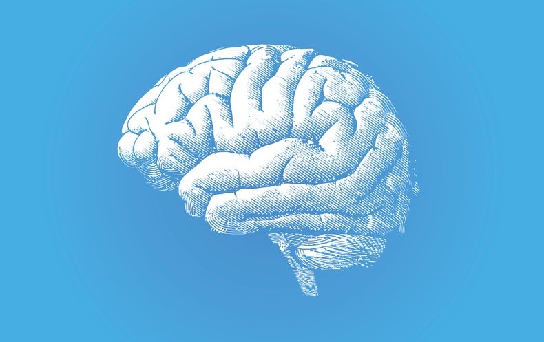 Faster MRI Method Could Shake Up Brain Imaging