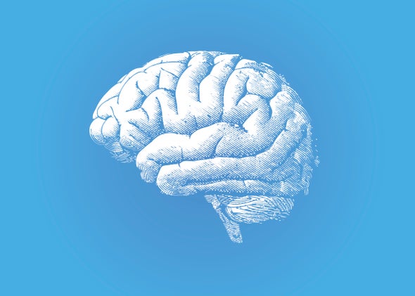 Faster MRI Method Could Shake Up Brain Imaging 