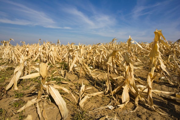 Climate Change Most Affects Nations That Didn't Produce It