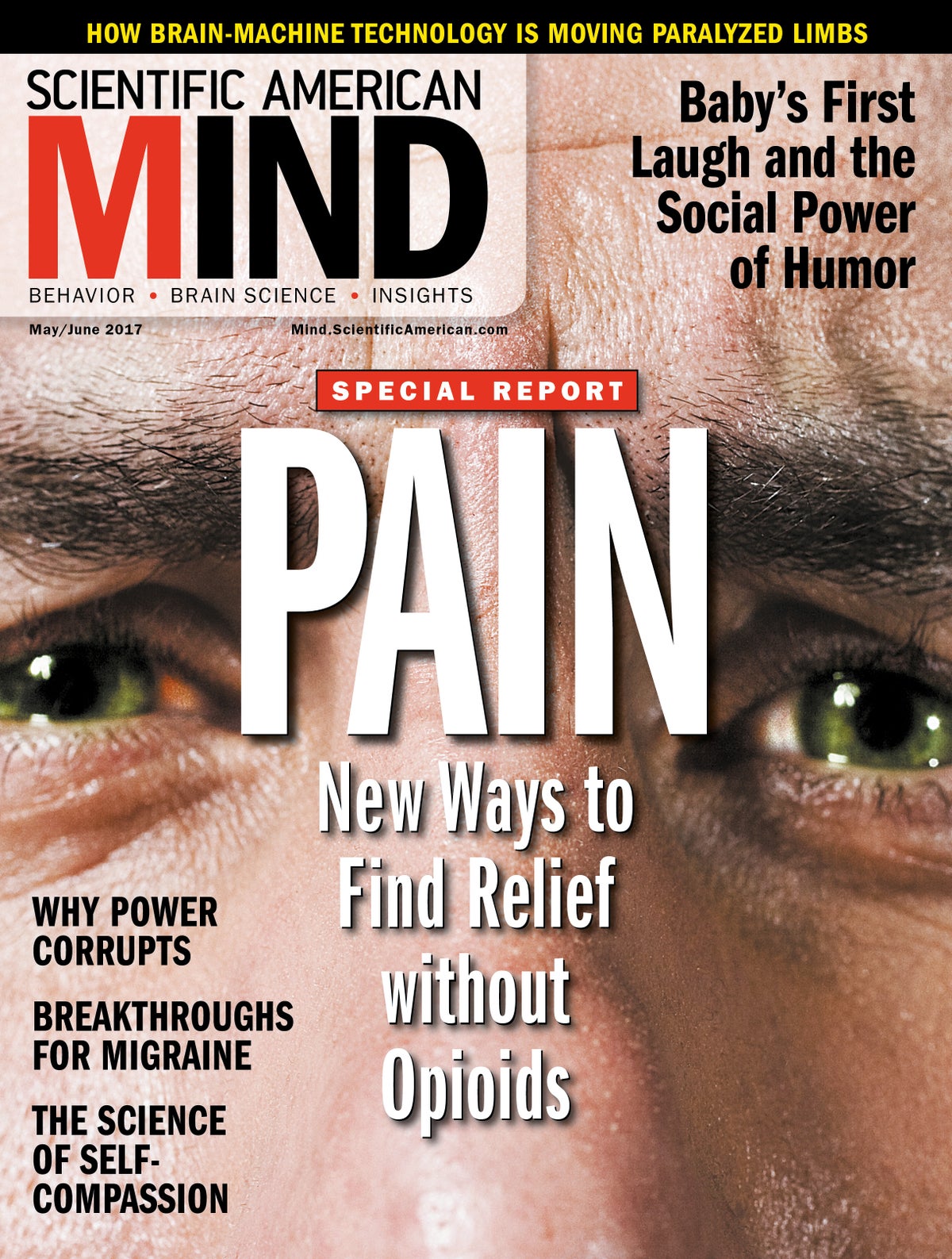 Scientific American Mind Volume 28, Issue 3 Scientific American