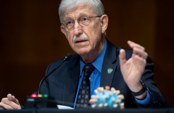 Dr. Francis Collins testifies during a US Senate Appropriations subcommittee hearing.