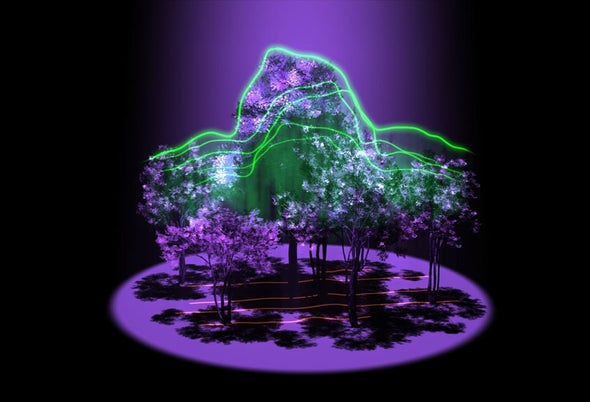 Satellite Laser Will Map Forests in 3-D