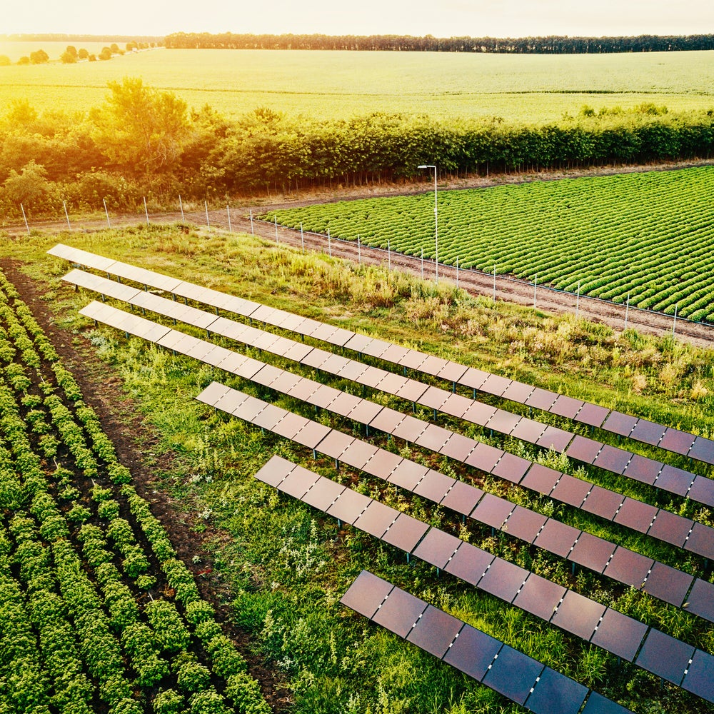 Haroshub light on a farm