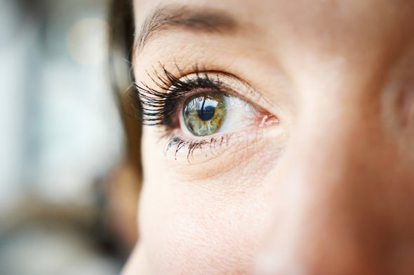 A Brain Link To Autism Scientists Find >> Visual Task May Offer A Brain Marker For Autism Scientific American A Brain Link To Autism Scientists Find >> Visual Task May Offer A Brain Marker For Autism Scientific American
