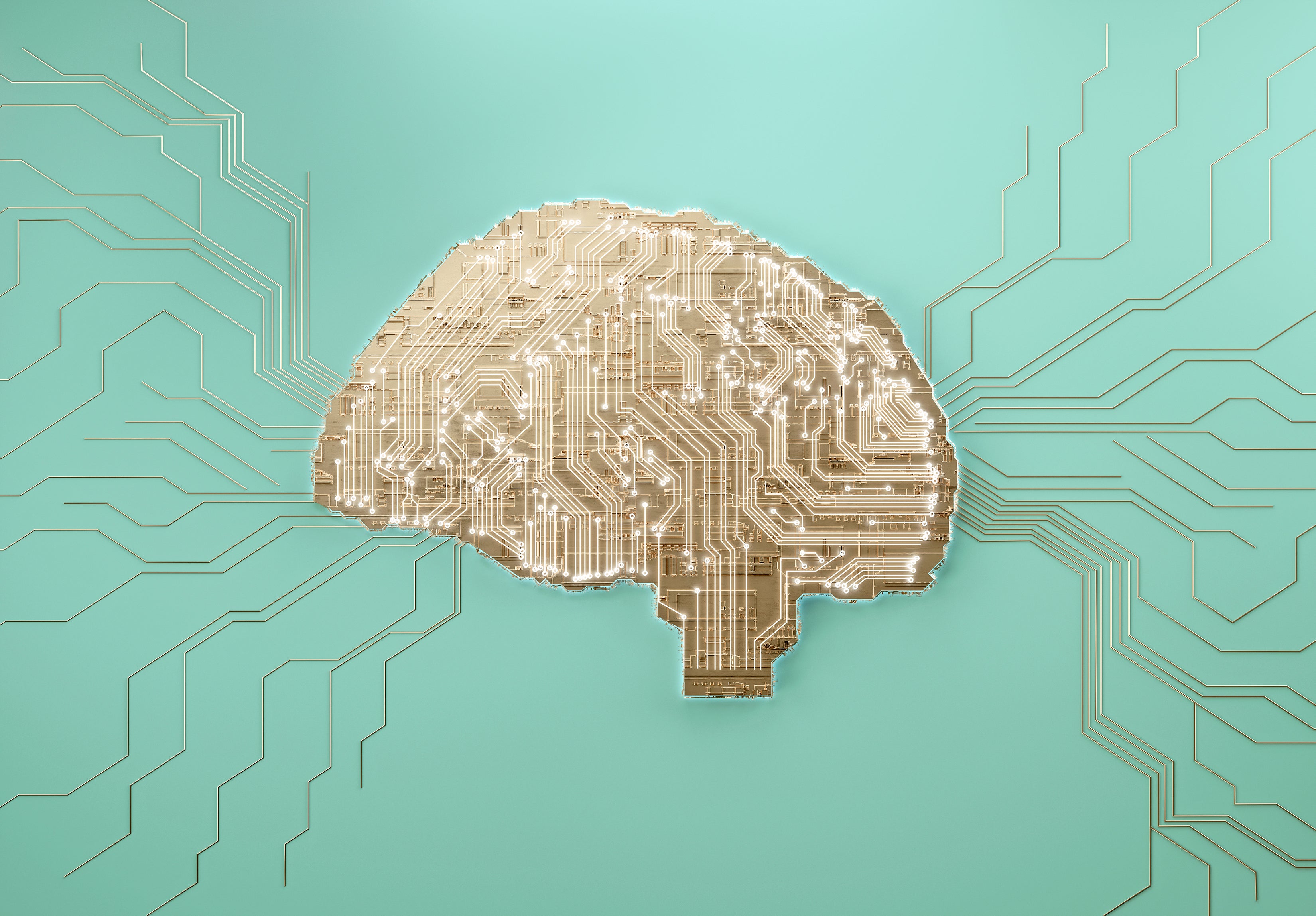 The Fading Dream Of The Computer Brain Scientific American