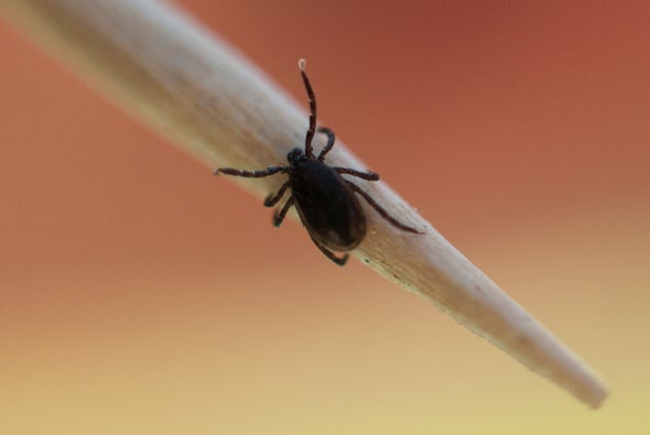 Can a New Lyme Disease Vaccine Overcome a History of Distrust and Failure?