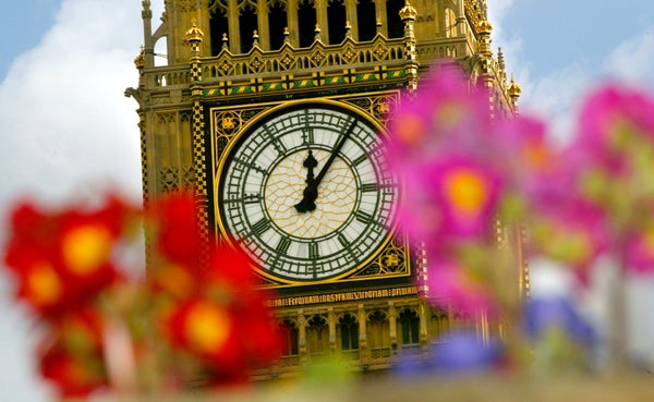 A view of Big Ben through flowers.