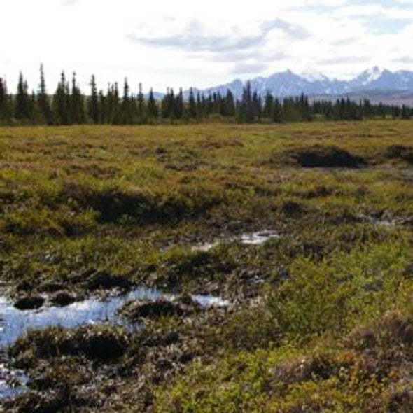 Permafrost Meltdown May Bog Down Global Warming--For Awhile