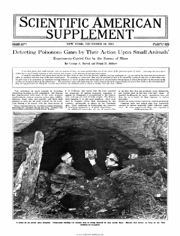 SA Supplements Vol 76 Issue 1981supp