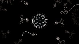 Decoded: What Is a Virus, Exactly?