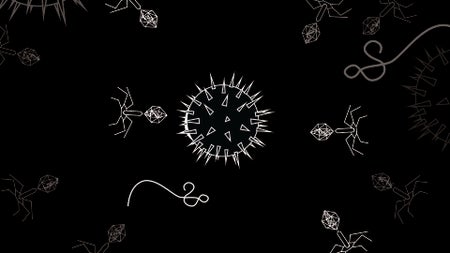 A drawing of various kinds of virus particles