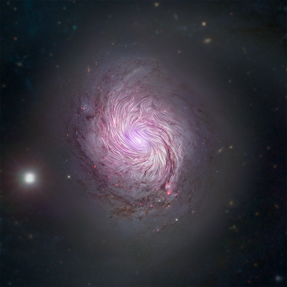 Swirling Magnetic Fields Hint at Origins of Spiral Galaxy Shapes