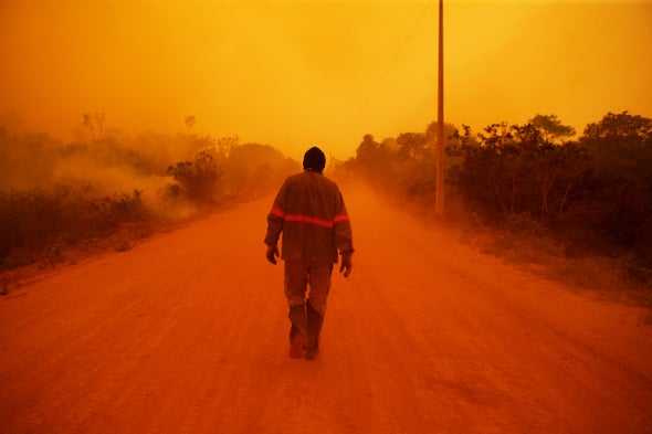 'Apocalyptic' Fires Are Ravaging the World's Largest Tropical Wetland