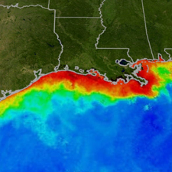How Will the Oil Spill Impact the Gulf's Dead Zone?