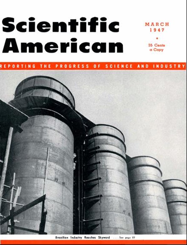 Scientific American Magazine Vol 176 Issue 3
