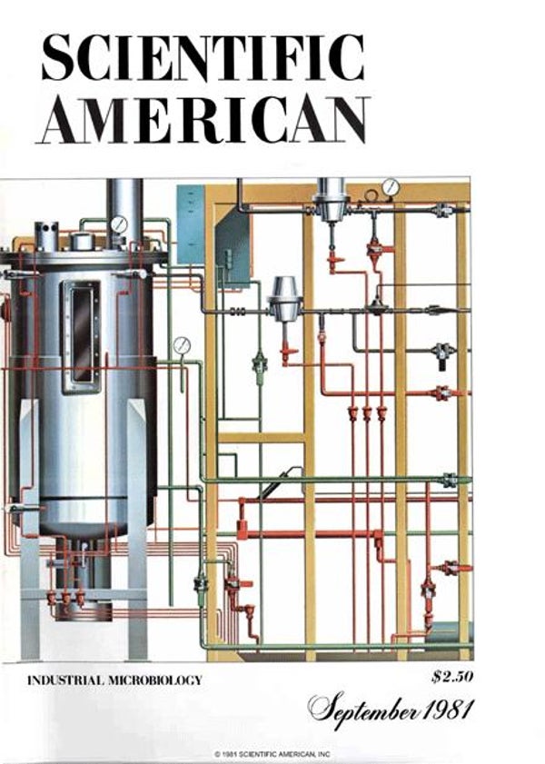 Scientific American Magazine Vol 245 Issue 3