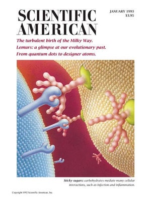 Scientific American Magazine Vol 268 Issue 1