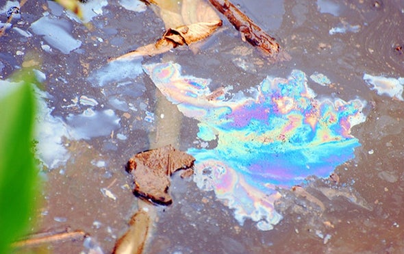 What Does the Environmental Protection Agency Do?