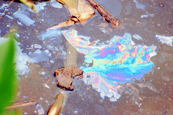 What Does the Environmental Protection Agency Do?