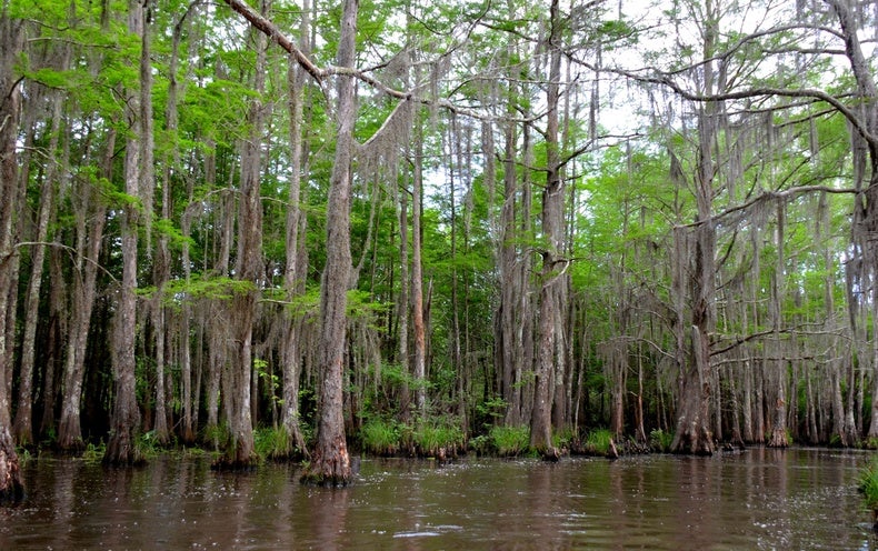 Trump's Order May Foul U.S. Drinking Water Supply - Scientific American