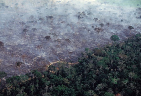 Aerial view of Amazon rainforest burning, farm management with deforestation