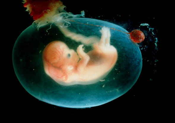 Scientists Call for Do-Over for Rules on Creating "CRISPR Babies"