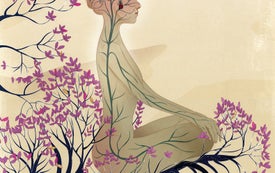 Scientific American Magazine Vol. 311 No. 5 | Scientific American