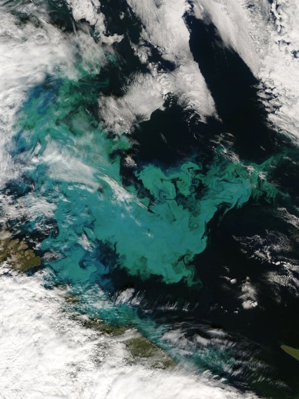 Humans May Be Accidentally Geoengineering the Oceans