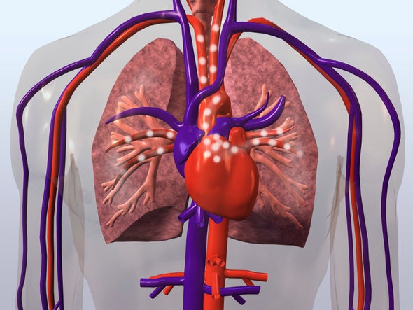 Drugged Gut Microbiome Cuts Heart Risk in Mice