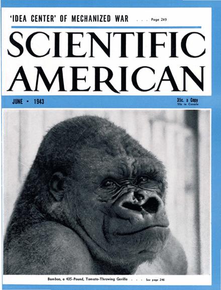 Scientific American Magazine Vol 168 Issue 6