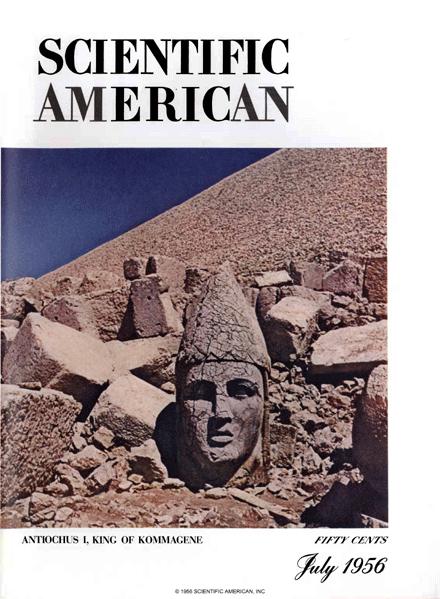 Scientific American Magazine Vol 195 Issue 1