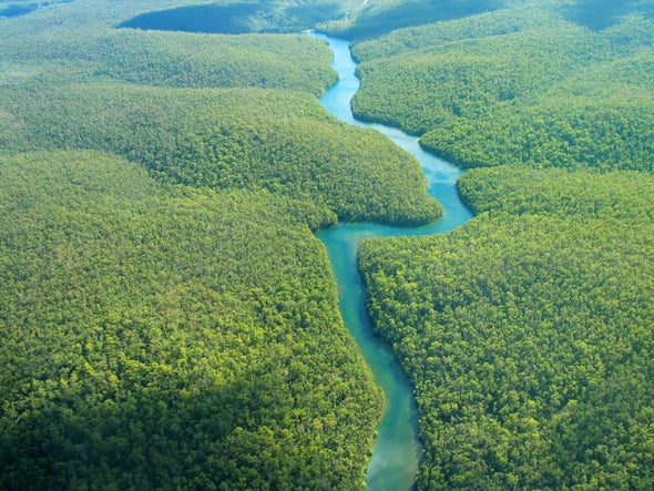Plants Dominate the Planet's Biomass