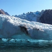 Calving is the sudden breaking away of a mass of ice from a glacier ice shelf or iceberg. Tracy Arm Fjord.