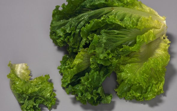 Healthful Eating Requires Supermarket Smarts
