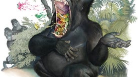 Gorillas Hum and Sing While They Eat to Say, "Do Not Disturb"
