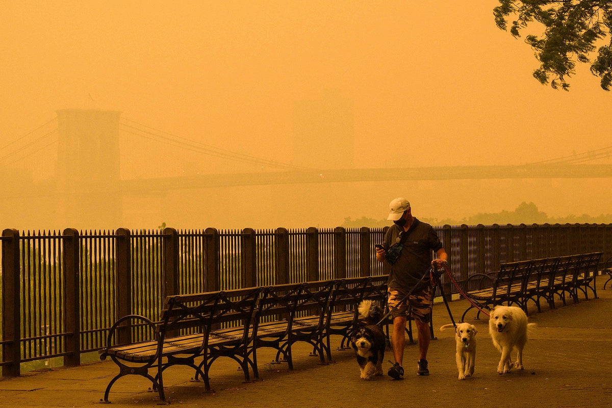 How Bad Is Wildfire Smoke for Your Health? > News > Yale Medicine