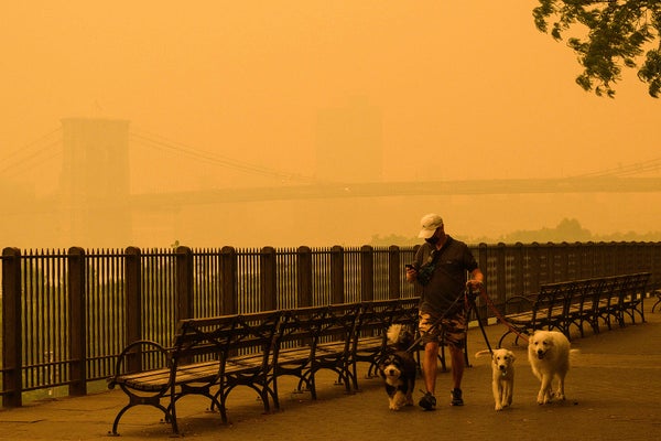 A person walks their dogs on the Brooklyn Promenade walkway with the Brooklyn Bridge in view in the background, obscured by orange-tinged smog