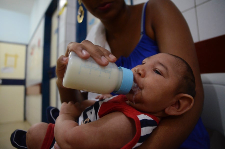 CDC Declares Zika–Microcephaly Link Solid | Scientific American