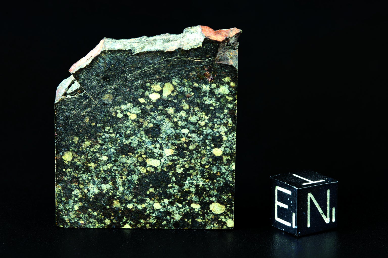 203-kilogram chondrite.