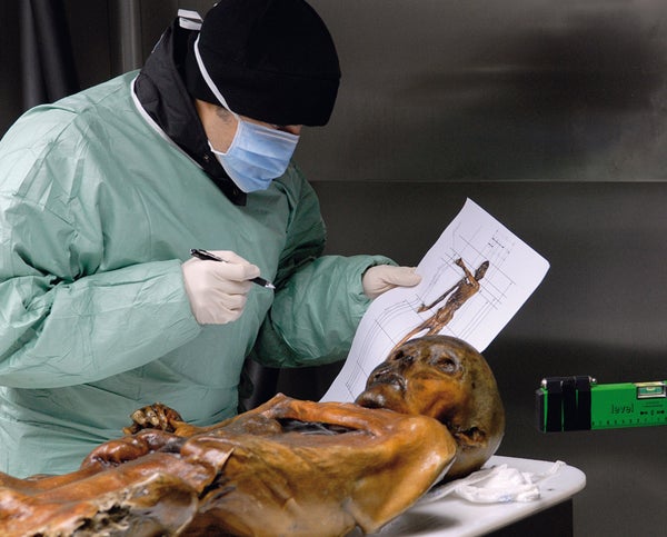 A researchers examines Ötzi