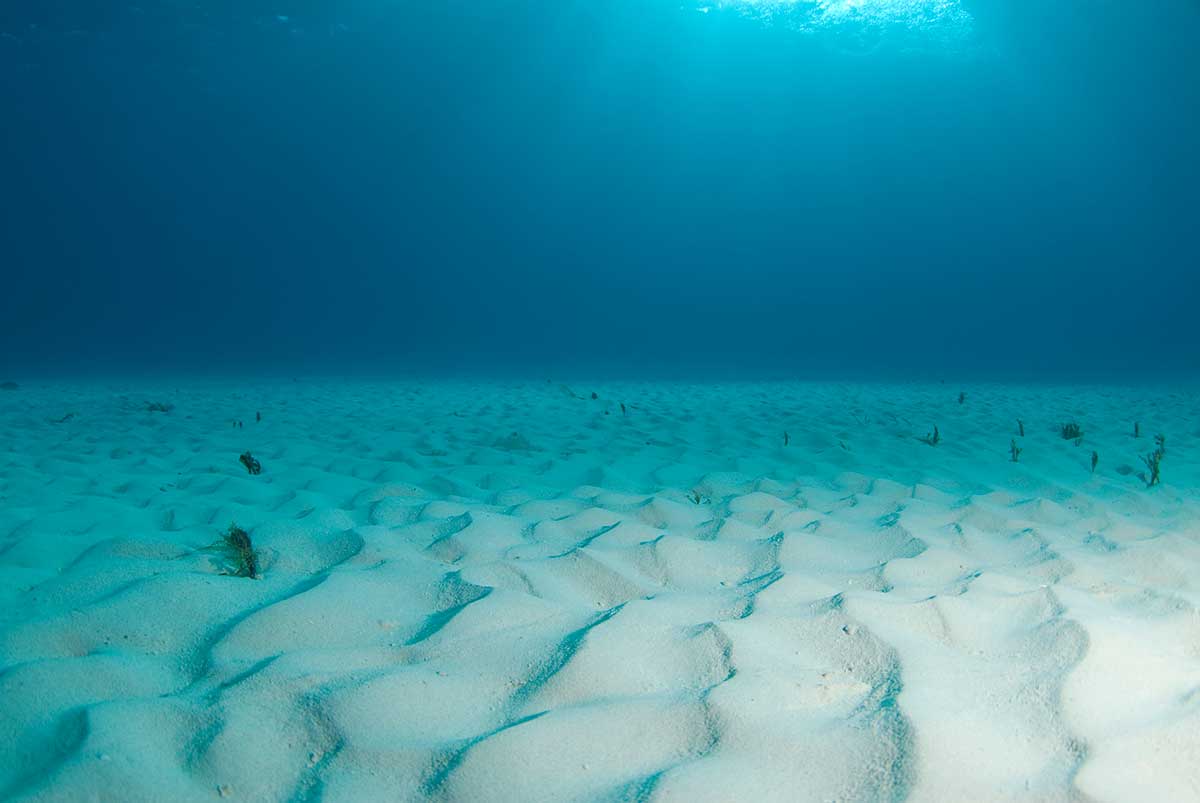 The Solid Floor Beneath the Waves – Exploring Earth’s Hidden World