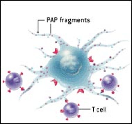 A VACCINE TO ATTACK CANCER