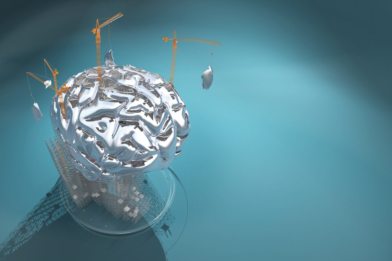 Building a Brain in the Lab | Scientific American