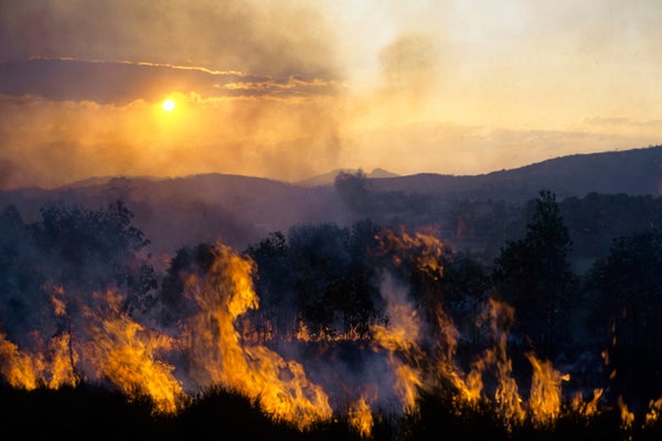 landscape photo of wildfire