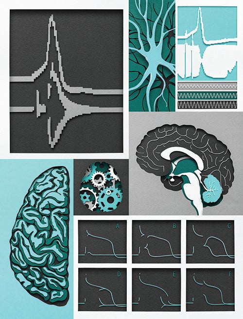 Brain Cells Communicate with Mechanical Pulses Not Electric