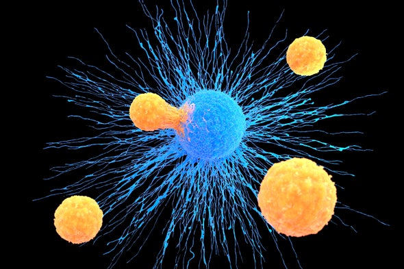 Cell Therapies Hit Their Stride
