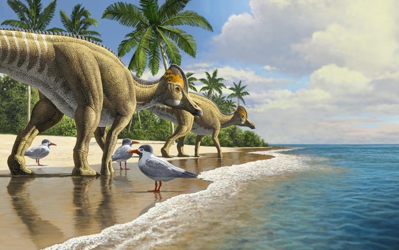 duck billed dinosaur types - Shop The Best Discounts Online OFF 61%