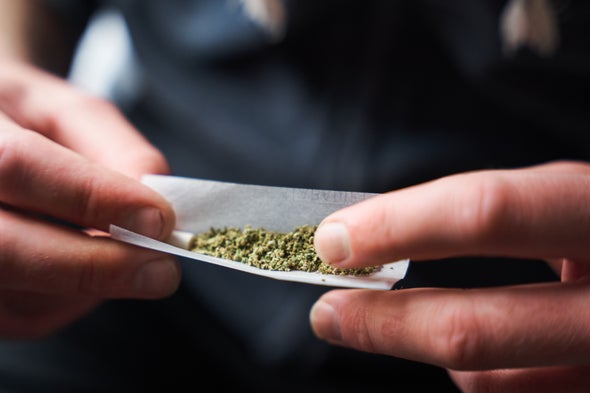 Science Reveals How to Roll the Perfect Joint