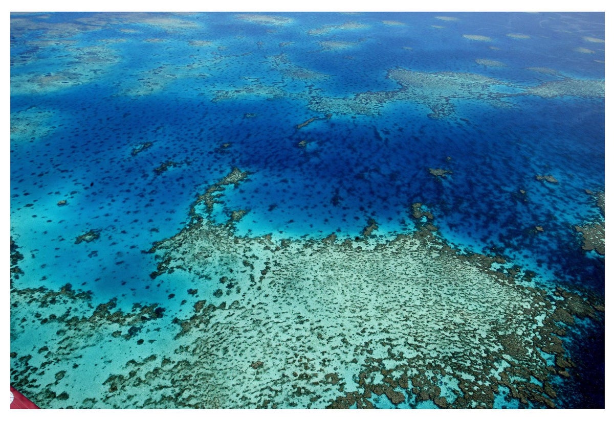 Bleaching Hits 93 Percent of the Great Barrier Reef | Scientific American